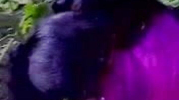 Sexo russo onde um cara fode uma vadia gostosa